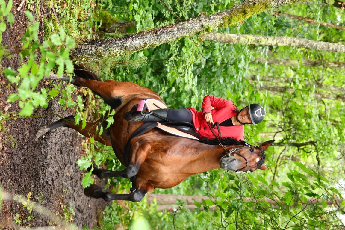 Galerie équitation – cavaliers et chevaux en concours